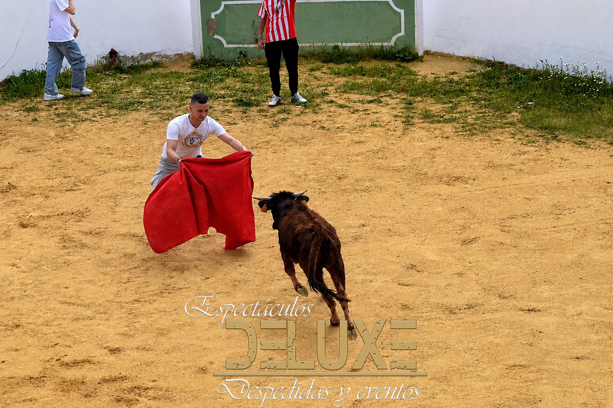 Capeas en Carmona, Sevilla