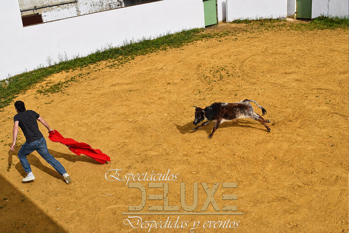 Capeas en Carmona, Sevilla