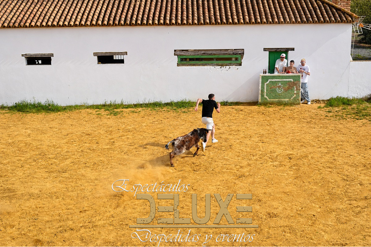Capeas en Carmona, Sevilla