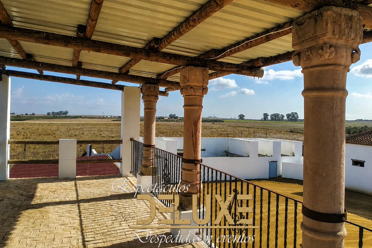 Instalaciones de capeas en Carmona, Sevilla