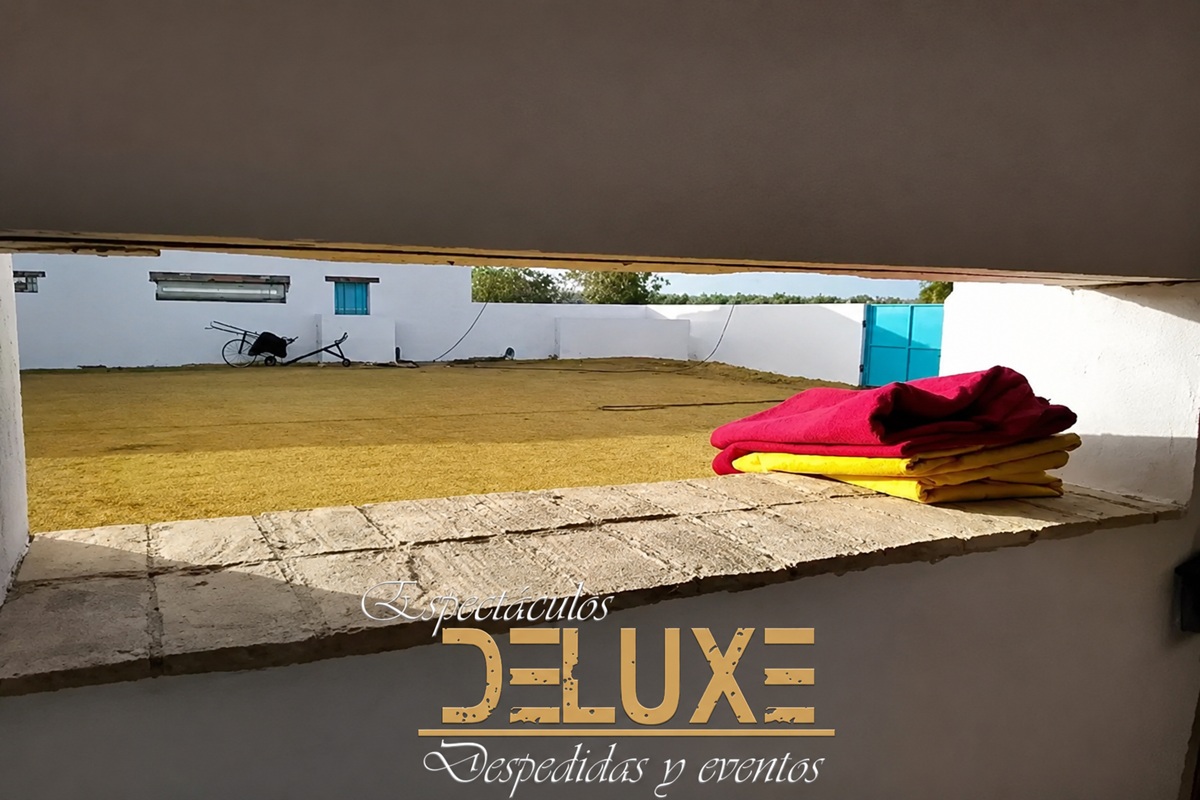 Instalaciones de capeas en Carmona, Sevilla
