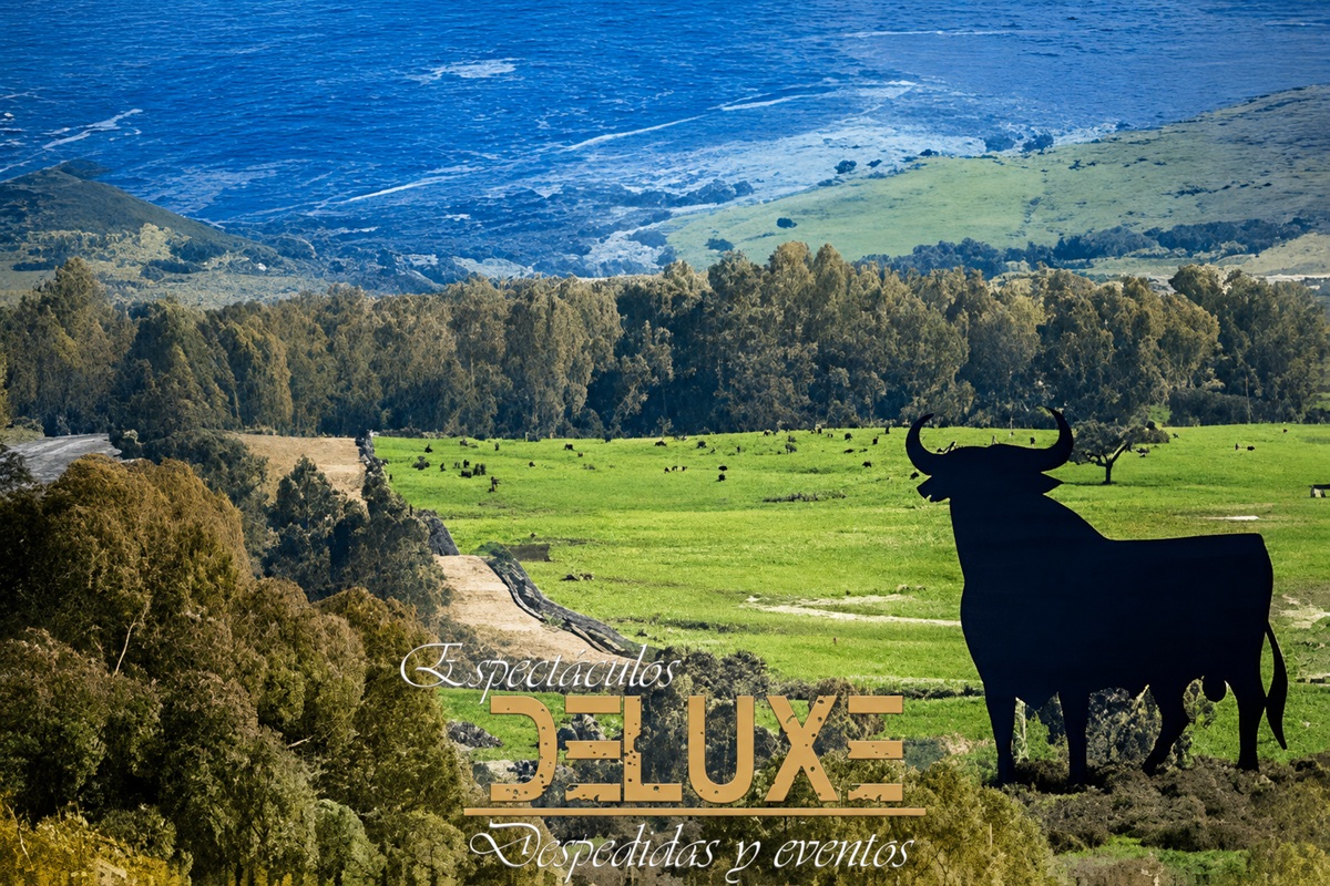 Nuestras Fincas en Sevilla
